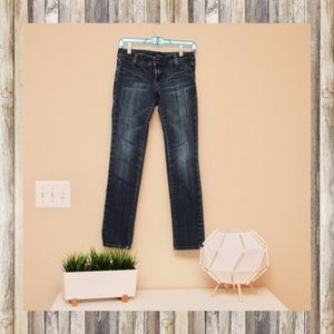 Vigoss Studio Premium Brighton Skinny Jeans